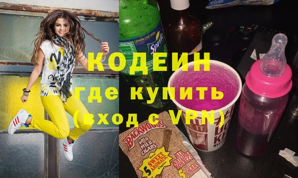 прущие грибы Корсаков