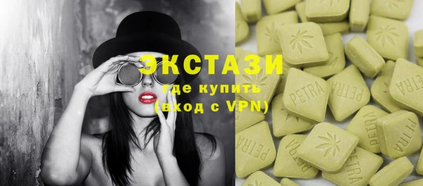 прущие грибы Корсаков