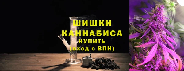 прущие грибы Корсаков