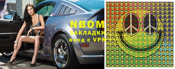 прущие грибы Корсаков