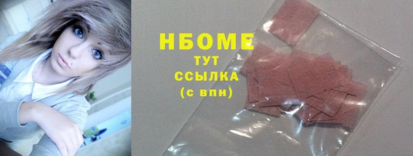 прущие грибы Корсаков