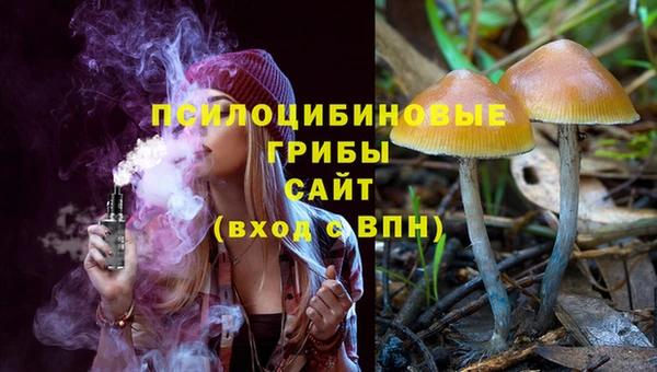 сатива Красноперекопск