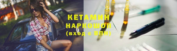 прущие грибы Корсаков
