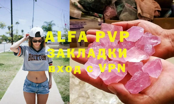 прущие грибы Корсаков