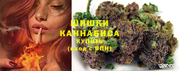 дурь Коряжма