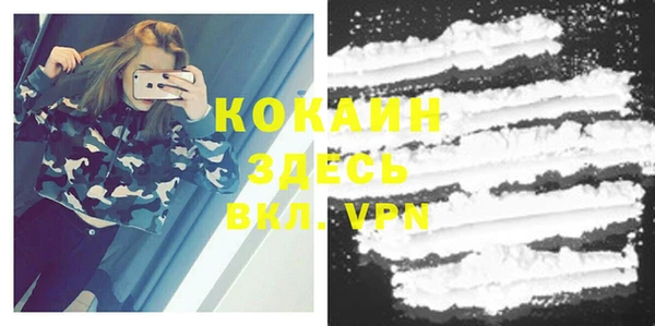 дурь Коряжма