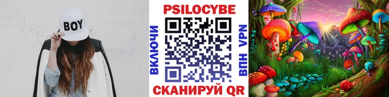 нарко площадка состав  купить  цена  Льгов  Псилоцибиновые грибы Psilocybine cubensis 